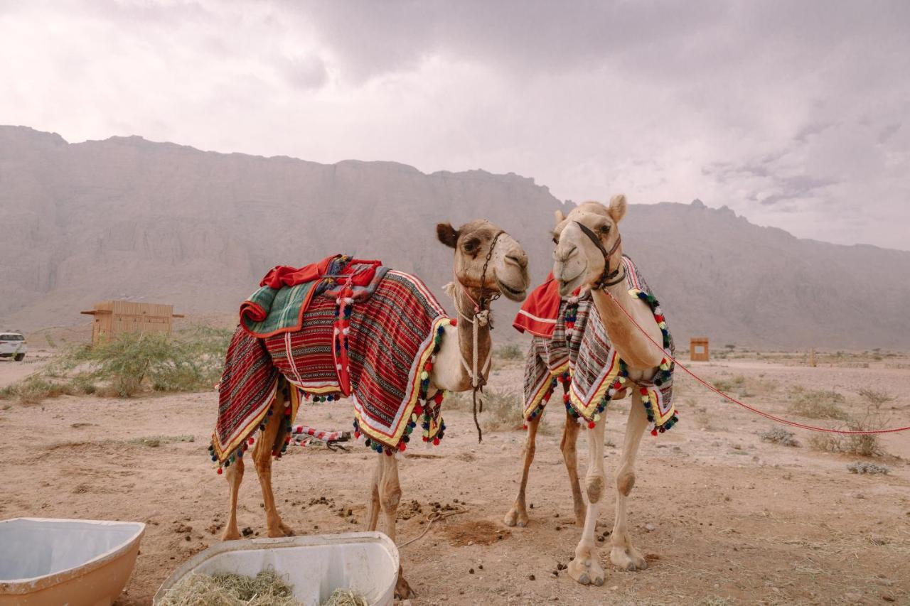 Pura Eco Retreat, Jebel Hafit Desert Park Al Ain Bagian luar foto